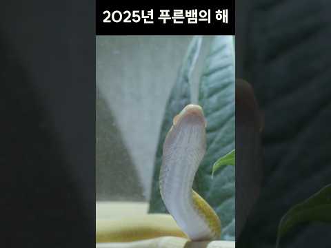 2025년 변화의 해