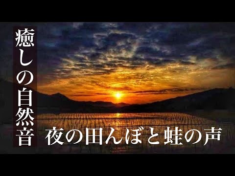 【癒しの自然音】眠りを誘う懐かしいカエルの声でリラックスする（睡眠用BGM・作業用BGM・ASMR・イヤホン推奨）　Japanese healing sound