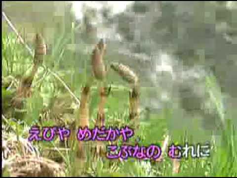 【童謡 こどもの歌 全集】春の小川