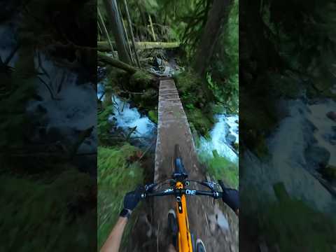 Crazy bike trail ends at a river! #mtb #remymetailler #mountainbiking.