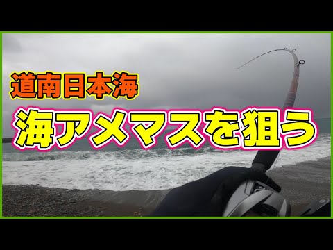 【北海道サーフ2023】道南日本海：サクラマス調査を兼ねた海アメマス狙い！