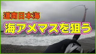 【北海道サーフ2023】道南日本海：サクラマス調査を兼ねた海アメマス狙い！