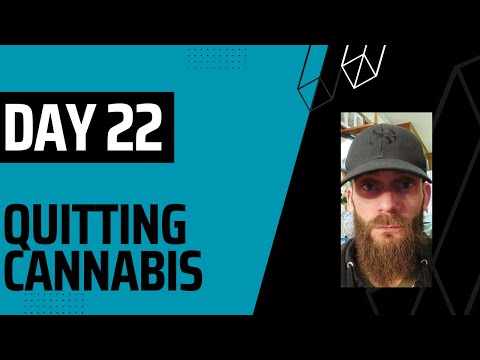 Day 22: Quitting Cannabis - Cleaning Out the Closet of my Past & The Foundation for the Future