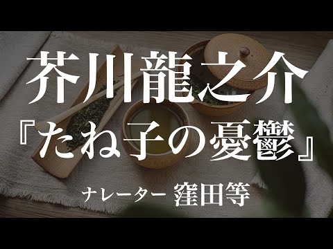 『たね子の憂鬱』作：芥川龍之介　朗読：窪田等　作業用BGMや睡眠導入 おやすみ前 教養にも 本好き 青空文庫