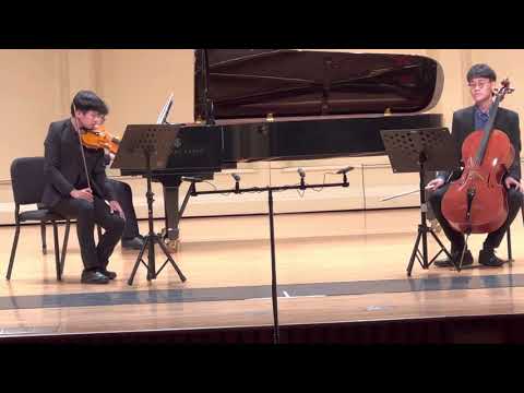 Mendelssohn  Piano trio No. 1 in D minor Op. 49 1st mvt  孟德爾頌d小調鋼琴三重奏