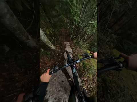 Dodging obstacles on this gnarly trail!