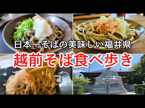 日本一美味しい福井の蕎麦食べ歩き♯おすすめ♯人気♯おいしい、蕎麦激戦区の越前市で人気の蕎麦屋さんを食べ歩き