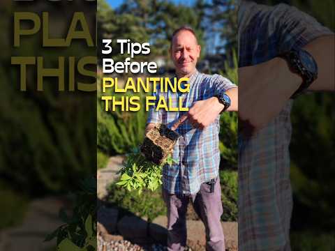 Wait! Check This BEFORE You Plant 😉 #shorts #planting #garden