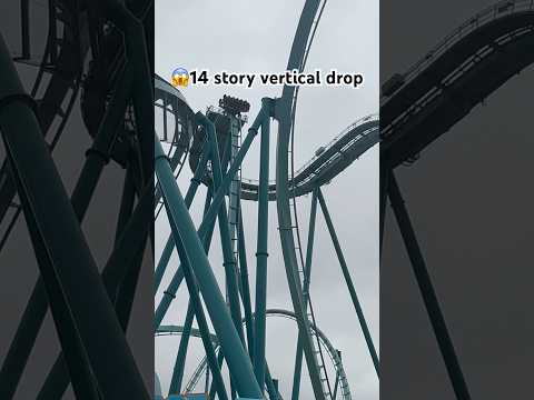 😱14 story vertical drop at 60mph - exhilarating experience EMPEROR #thrillride #seaworldsandiego