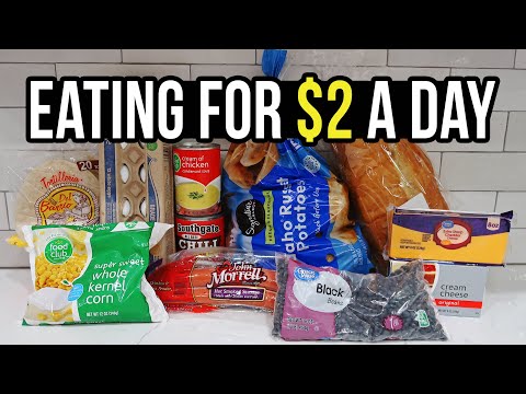 Eating for $2 a Day: Cheap and Healthy Meal Ideas You Need to Try