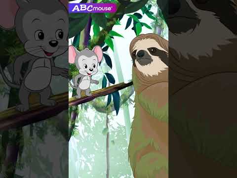 Three-Toed Sloth Plays Tag? | ABCmouse #animals #learning #nature #sloth #rainforest