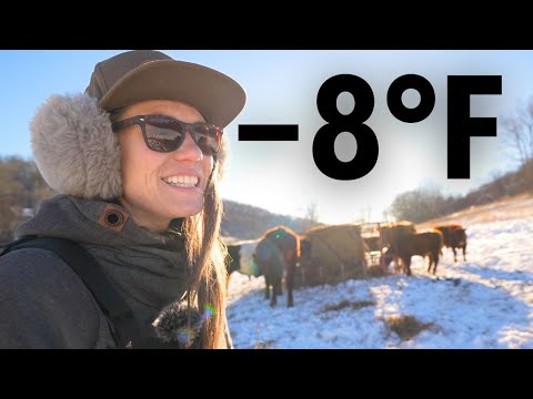 Farm Chores In a Frozen Tundra