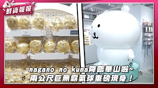 超可愛自嘲熊nagano no kuma降臨華山啦~ 快閃店比照日本常設店規模！還有超大自嘲熊氣球必打卡！| 鮮貨報報 | 壹起FUN