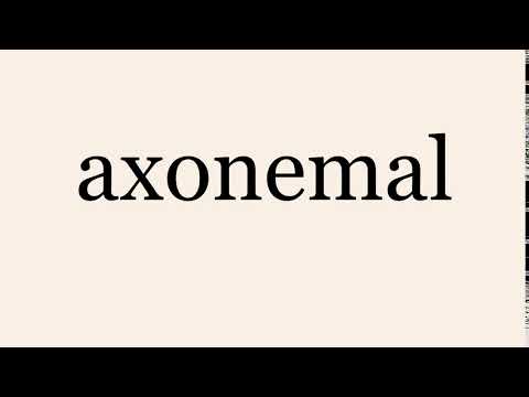 axonemal