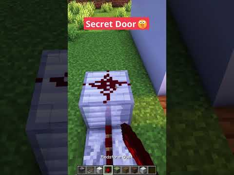 Minecraft Secret Door🤫 #shorts