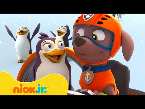 PAW Patrol Winter & Snow Adventures! w/ Zuma! ☃️ 10 Minutes | Nick Jr.