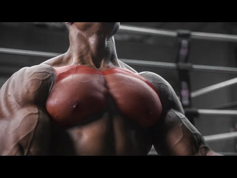 5 EXERCISES TO BUILD A BIG UPPER CHEST | ADD THESE TO YOUR ROUTINE