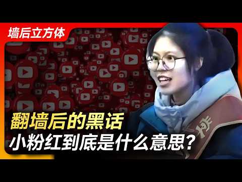 翻墙后的黑话，小粉红到底是什么意思？丨小粉红丨维尼熊丨8964丨支那丨5毛丨1450