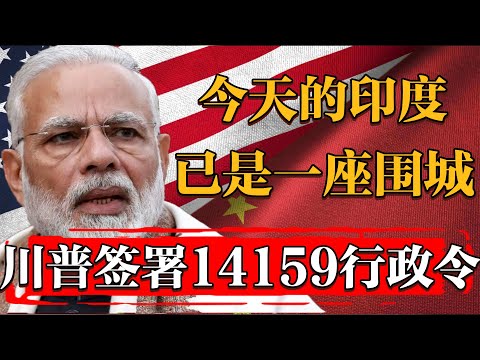 今天的印度已是一座圍城！川普簽署14159號行政令，對外來印裔施行最大規模驅逐！#历史 #文化 #聊天 #纪实 #窦文涛 #马未都 #马家辉 #周轶君 #熱門 #推薦 #香港