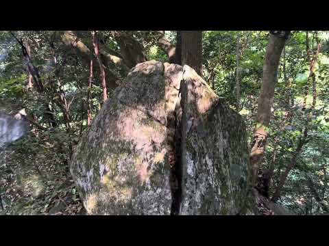 森と沢がきれいな金立山登山