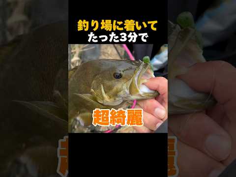 釣り場に着いてたった3分で#shorts