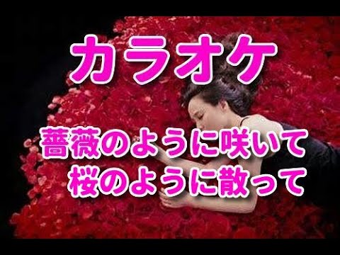 カラオケ「薔薇のように咲いて桜のように散って」歌詞付き☆松田聖子