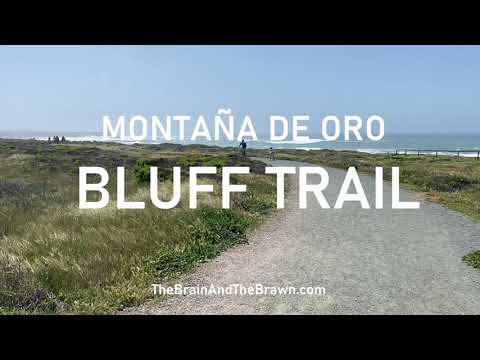 Montaña De Oro Bluff Trail - Our #1 Insider Tips for Montana de Oro State Park!