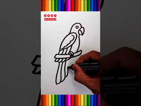 how to draw a parrot #birds #drawing #trending #shorts