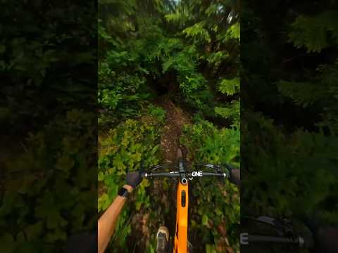 Riding into a black hole! #mountainbiking #pov #gopro