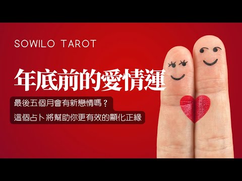 《新戀情即將到來》年底前的愛情運勢｜不完美講師Sowilo