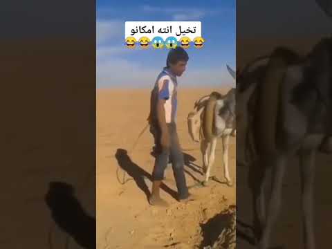 😂 😂 لايك اذا اعجبك❤️ #اكسلبور #funnyvideos #funny #funnyvideo#foryou#fypシ #fails#failarmy#funnyfail