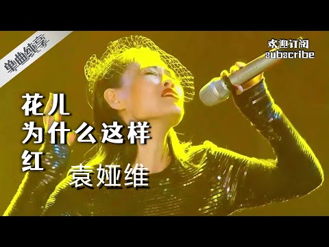 #袁娅维 《花儿为什么这样红》 马头琴一响 就泪崩了！#中国之星 #livemusic