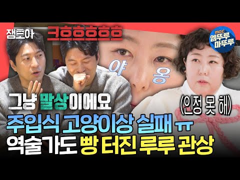 [전참시] 고양이상인 줄 알았던 내가 볼록렌즈 말상?!😱 역술가의 필터링 없는 신기루 관상 풀이ㅣ#신기루 MBC250308방송