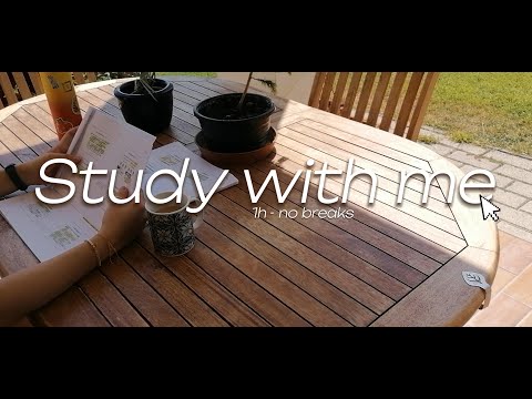 1 HOUR STUDY SESSION - Study with me in this chill sunny morning