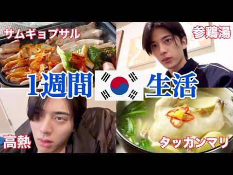 【爆食vlog】1週間韓国で生活してみたら最高だった