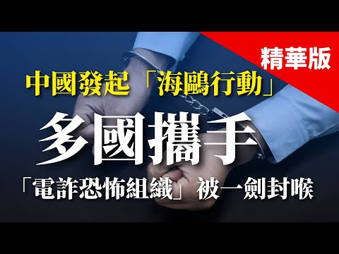 中國發起「海鷗行動」！多國攜手「電詐恐怖組織」被一劍封喉