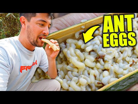 Uncovering Thailand’s EXOTIC FOOD of the Karen Tribe 🇹🇭 I Can’t Believe They Eat This!!