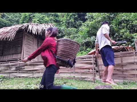 Living in the forest, the girl and her boyfriend picked jackfruit to sell / Suyen Single mom life