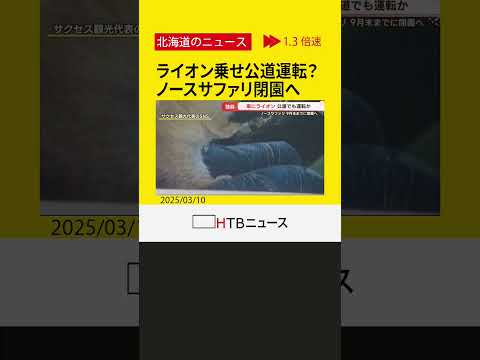 ライオンを高級車に乗せて…ノースサファリ9月末までに閉園　代表辞任　動物の今後、違法建築の撤去は？