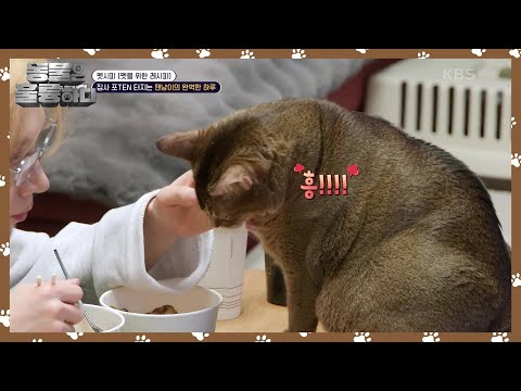 펫시피 [펫을 위한 레시피] 식사 하는데 자꾸 방해하는 리언이🤣 [동물은 훌륭하다] | KBS 250310 방송