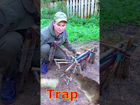 Trap  #survival  #nature  #hunting #