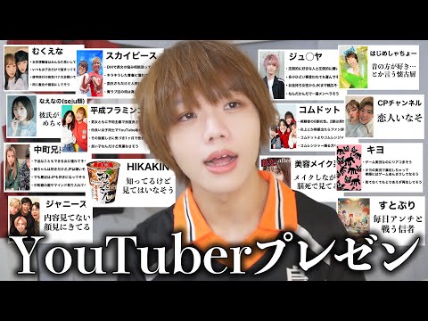 YouTuberとその視聴者の性格をド偏見で紹介したら敵作りすぎて活動休止に追い込まれました