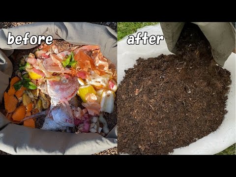 How to make kitchen waste compost that grows plants well