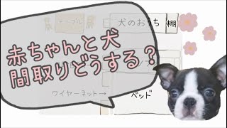 【犬と赤ちゃんを隔離】犬と赤ちゃんがいる部屋の間取り♪ボストンテリア @bostonterrier.bonchannel