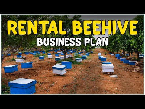 Beehive Renting For Pollination | Business Idea