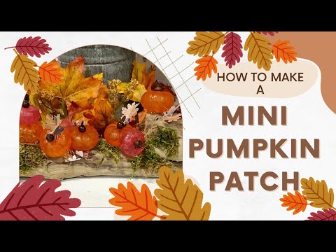 Making a Mini Pumpkin Patch