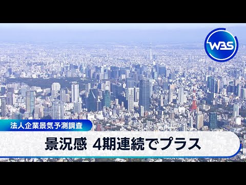 景況感 4期連続でプラス　法人企業景気予測調査【WBS】