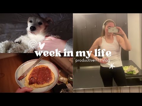 Pancakes, Starting a New Project, and Filming a TV Special - PhD Student Weekly Vlog