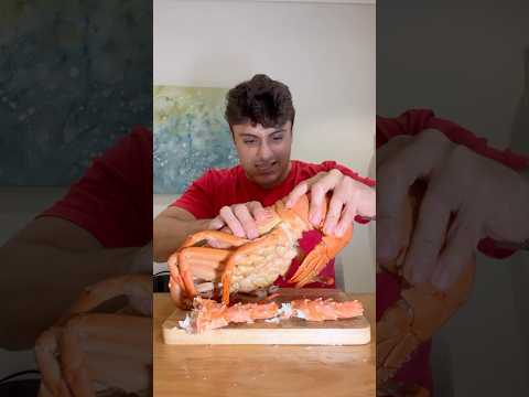 Eating 5 Pound Lobster in 30 Seconds