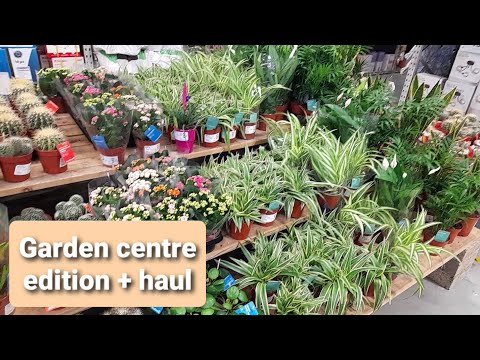 Trip to Garden Centre (B&Q) + Mini Plant Haul 🌱- New Year 2021 - UK 🇬🇧